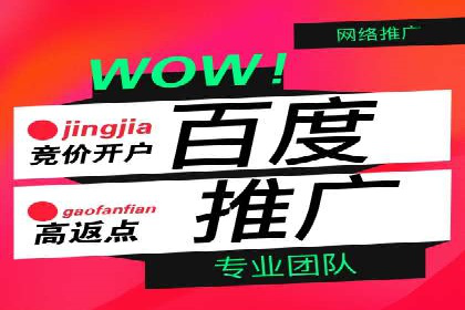 SEM服务助力企业快速增长案例